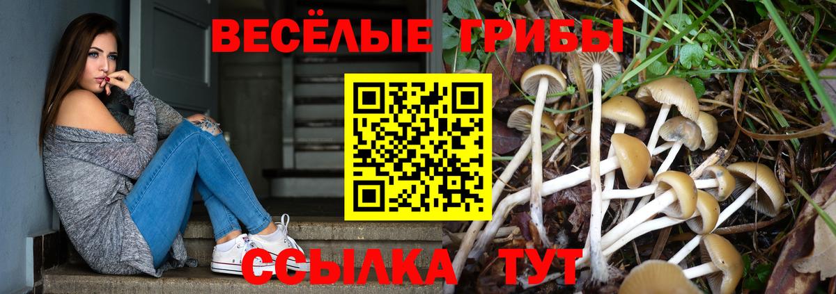 купить  сайты  Галлюциногенные грибы ЛСД  Вход с VPN  Заводоуковск 