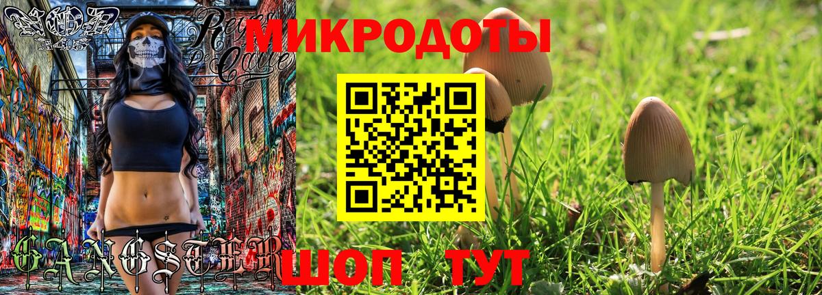 Галлюциногенные грибы ЛСД Заводоуковск