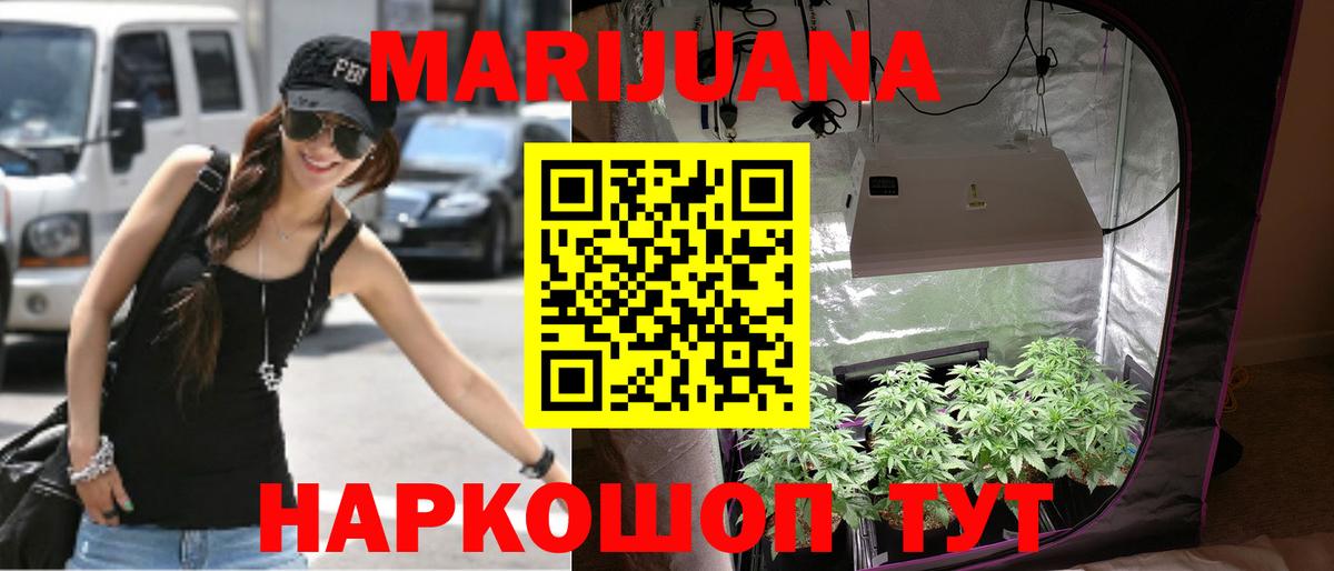 Каннабис сатива Заводоуковск